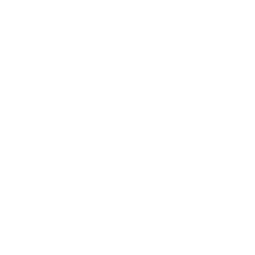 feature-item-2